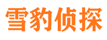 尖山侦探公司